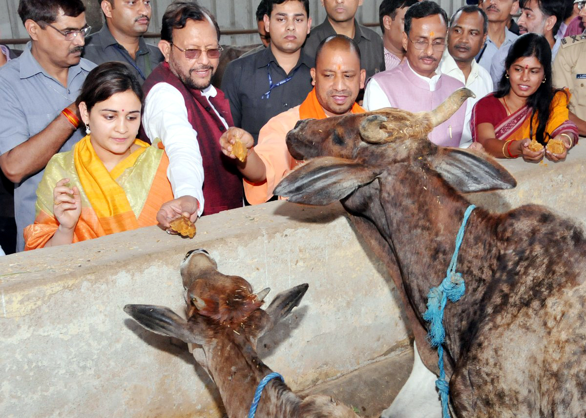 अनुदान के नाम पर करोड़ों की लूट