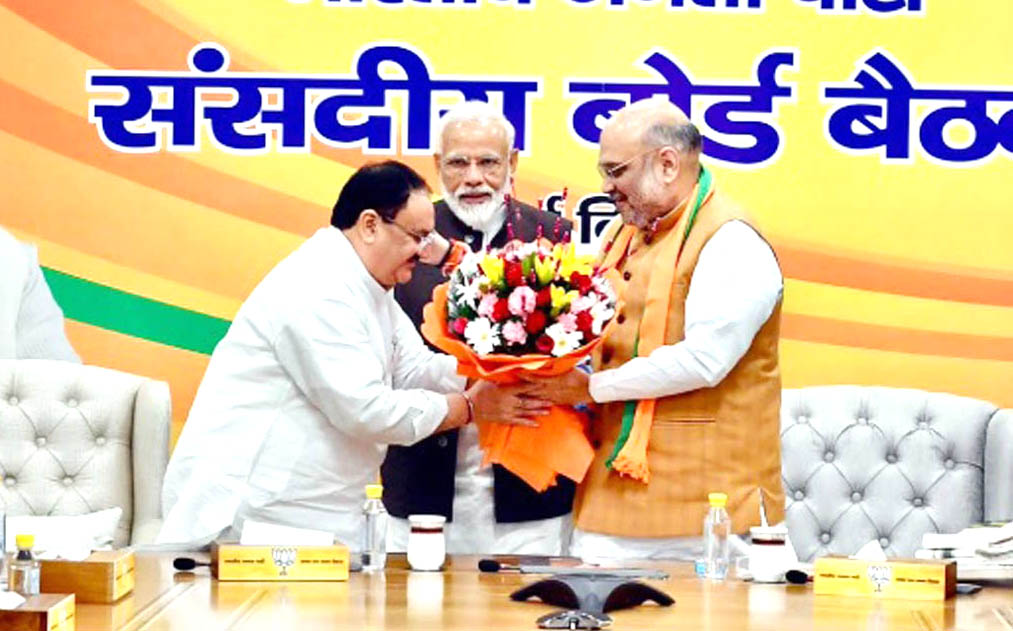 जे पी नड्डा बने बीजेपी  के कार्यकारी अध्यक्ष