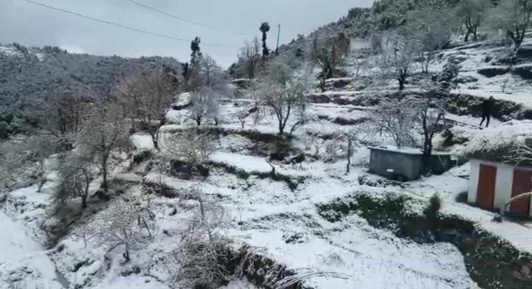 बर्फ़बारी से लाखो का नुकसान…