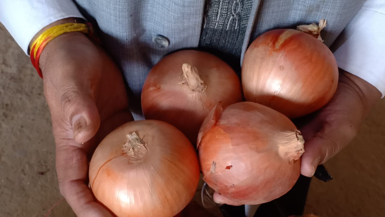 अब अफगानिस्तान और मिस्र देगा राहत…