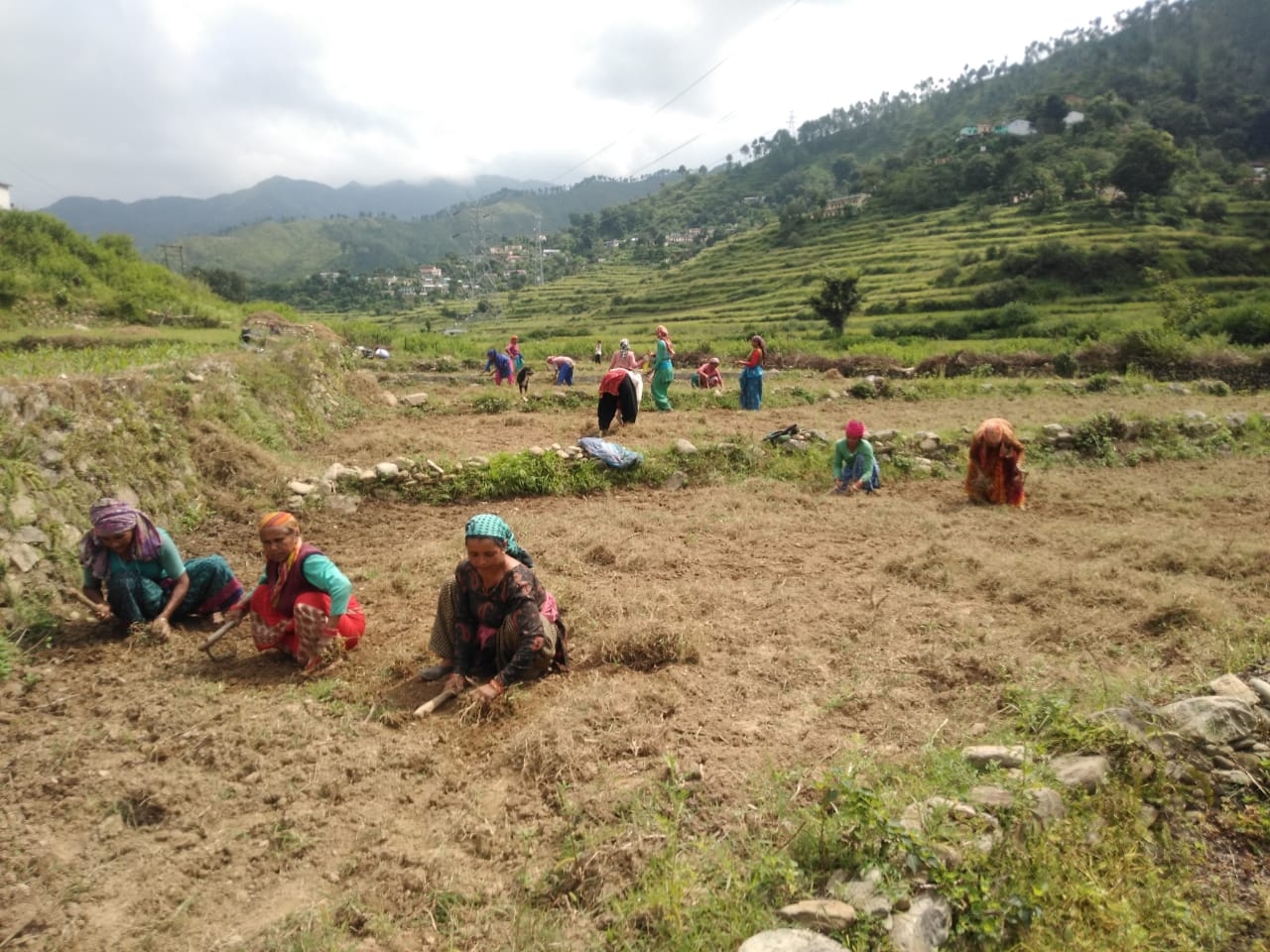 पलायन का विकल्प बनती खेती