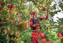 Óñ©ÓÑçÓñ¼ ÓñëÓññÓÑìÓññÓñ░Óñ¥ÓñûÓñúÓÑìÓñí ÓñòÓñ¥ Óñ¼ÓÑìÓñ░Óñ¥ÓñéÓñíÓñ┐ÓñéÓñù Óñ╣Óñ┐Óñ«Óñ¥ÓñÜÓñ▓ ÓñòÓÑÇ