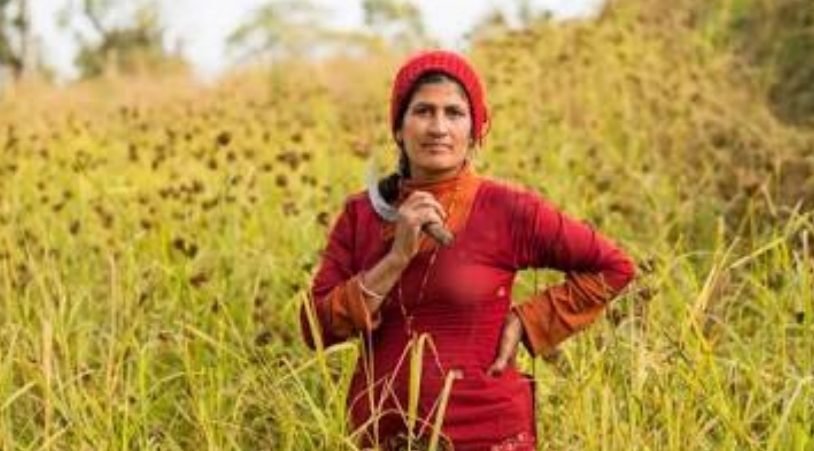 किसानों पर लॉकडाउन की मार, सरकार ने कहा 20 अप्रैल से पहले न काटे गेहूं 