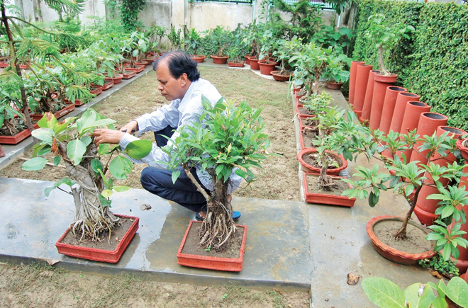 दिखने लगा चाइना का बहिष्कार