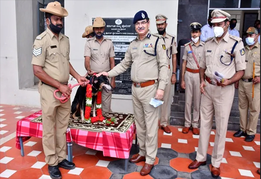 अपराधी को पकड़वाने वाला स्निफर डॉग सम्मानित