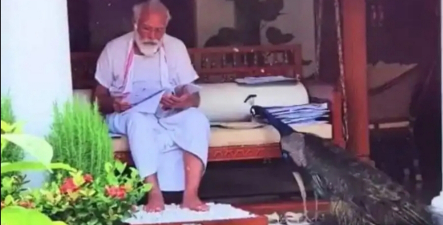 पीएम के ‘मोर प्रेम’ पर मचा शोर, लालू हुए आहत तो मोदी को राहत क्यों ?