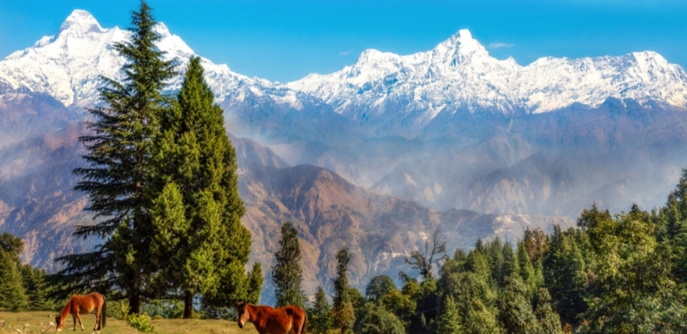 अब देवभूमि में आपका स्वागत है,प्रतिदिन 2000 आगंतुकों की बाध्यता खत्म