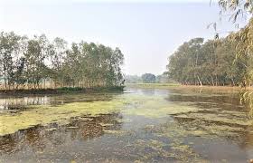 प्रधानमंत्री ने जिस झील को संवारने का वायदा किया, भूमाफिया ने उसे कब्ज़ा लिया 