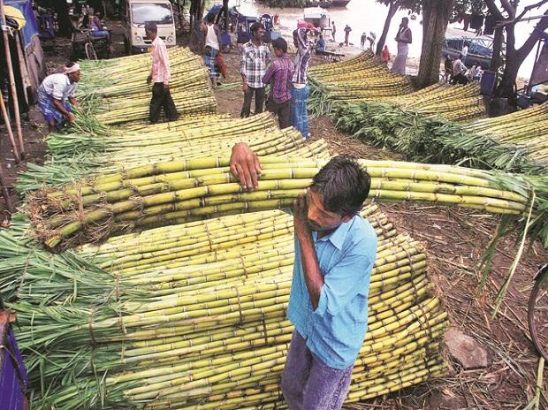 यूपी : राज्य के सबसे बड़े चीनी मिल में किसानों का करोड़ों बकाया,सरकार से खफ़ा हैं किसान 