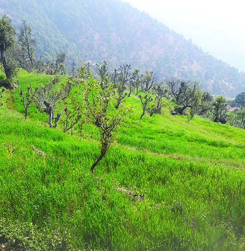 उत्तराखण्ड के किसानों की फरियाद भी सुने सरकार!