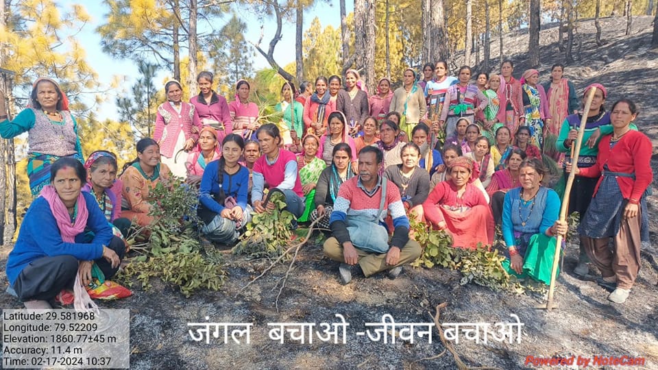 जंगल की आग और हम
