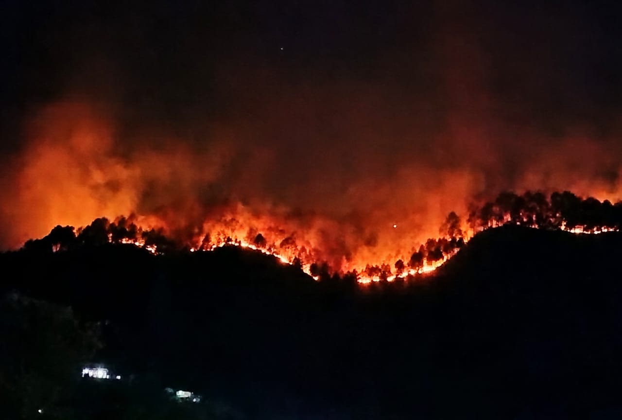 देवभूमि के जलते जंगल