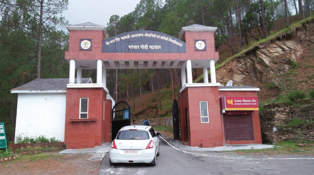 वानिकी विश्वविद्यालय में भर्ती घोटाले के बीज