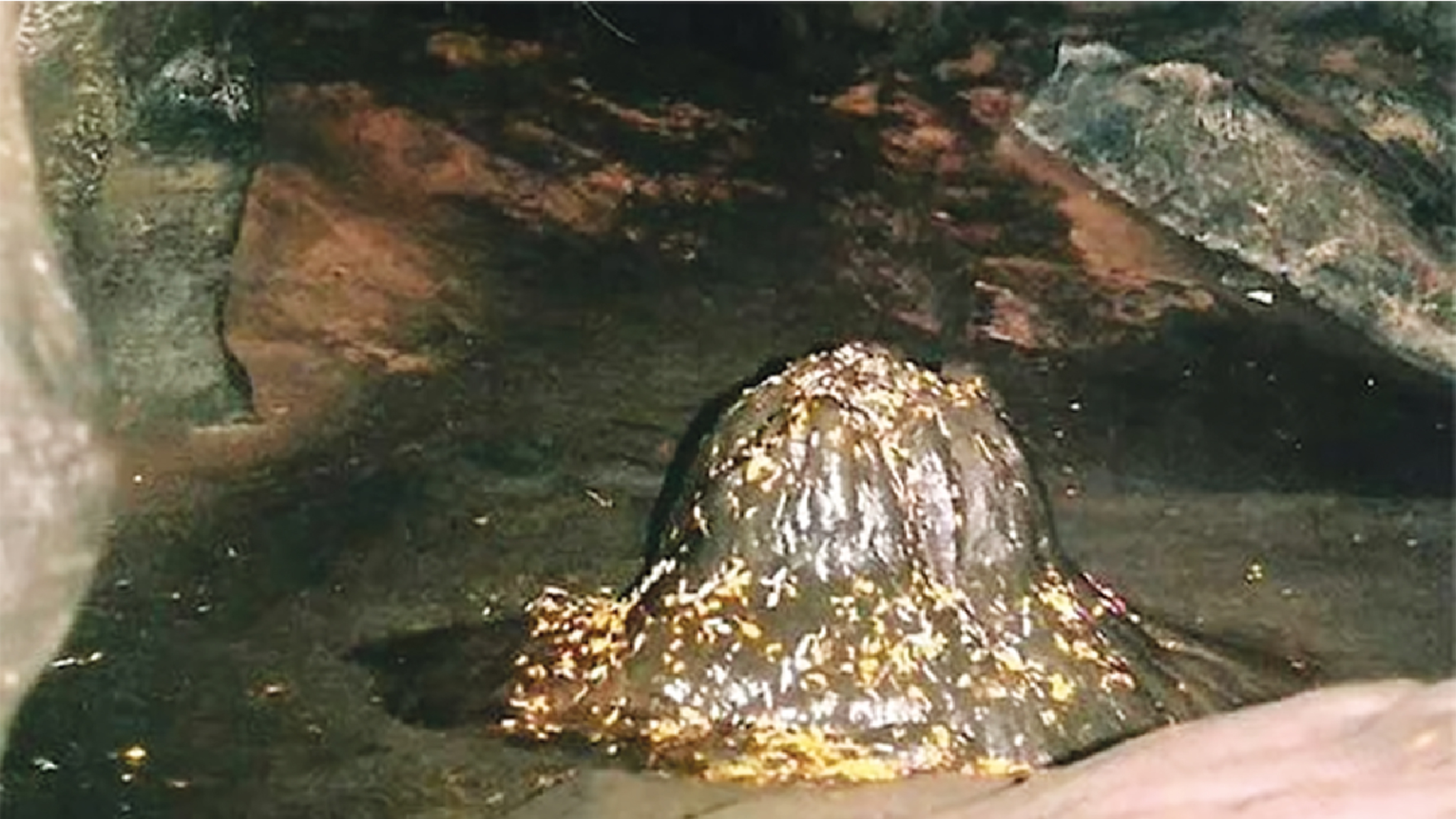 आस्था और प्रकृति का अलौकिक संसार-2