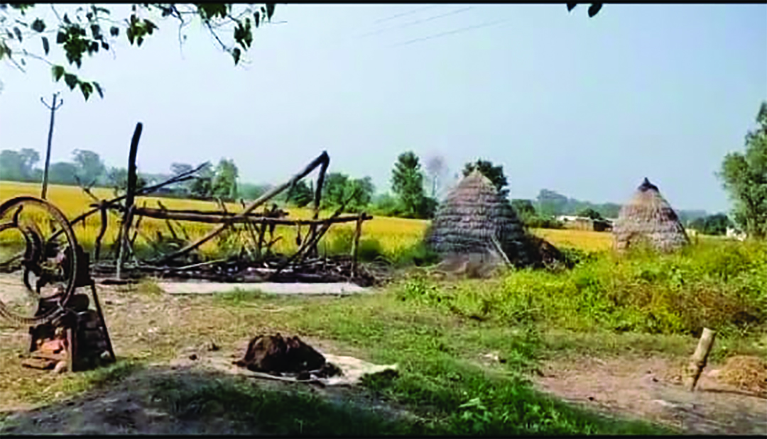 विकास के नाम पर केवल नफरत की खेती