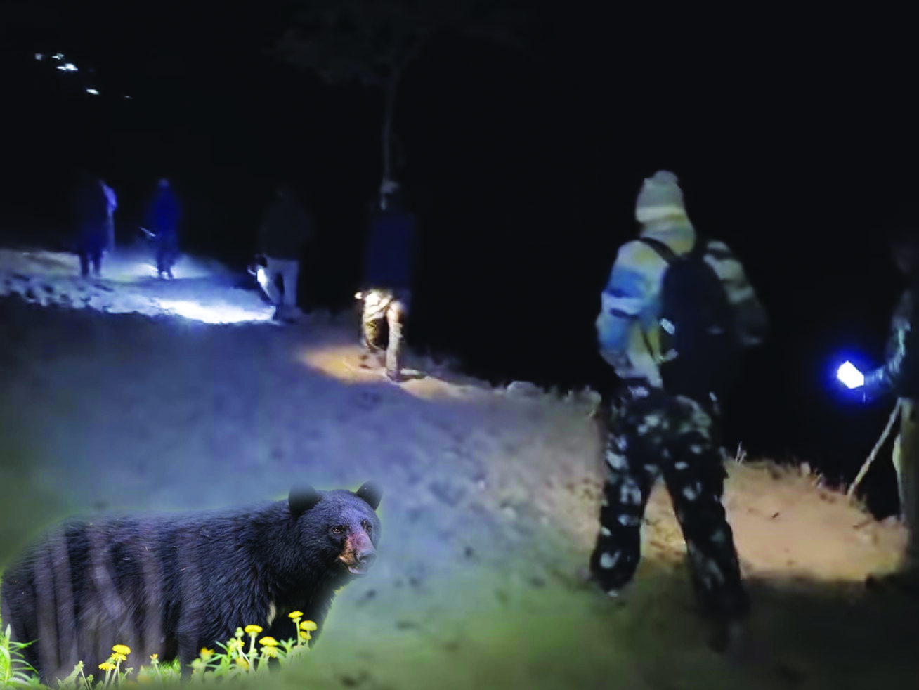 उत्तराखण्ड में भालुओं का बढ़ता आतंक चरम पर मनुष्य-वन्यजीव संघर्ष