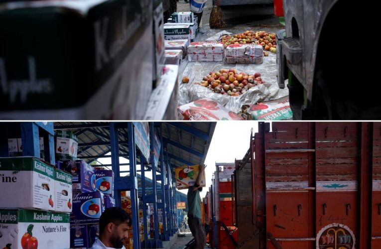 खतरे में भारतीय सेब