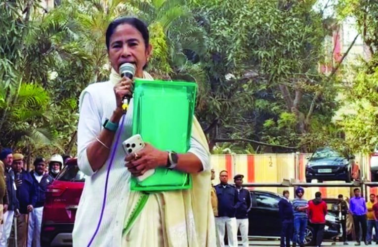 शेरनी या सनकी?