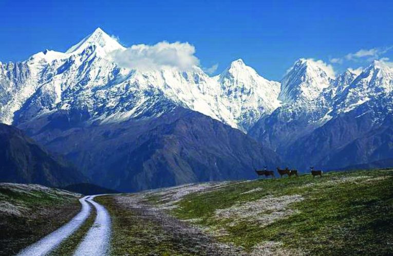 दावोस से हिमालय तकविनाश की कीमत पर विकास