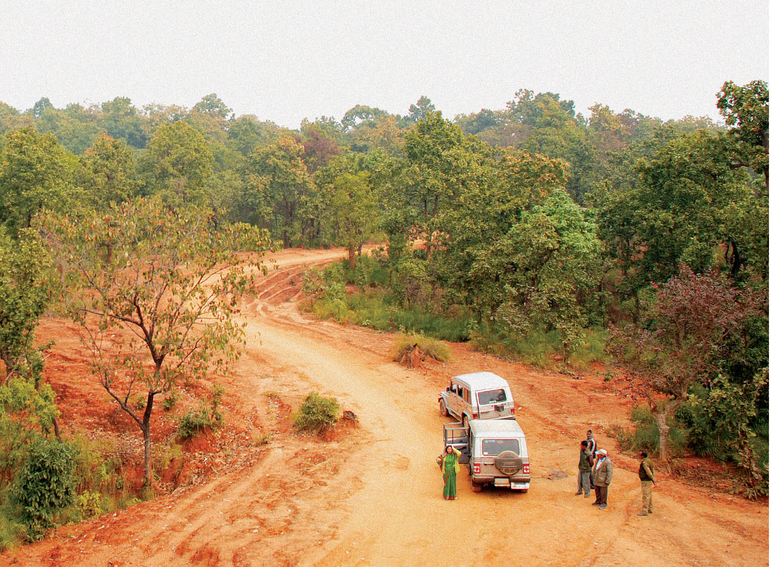 Forest survey of india Pic 1-1