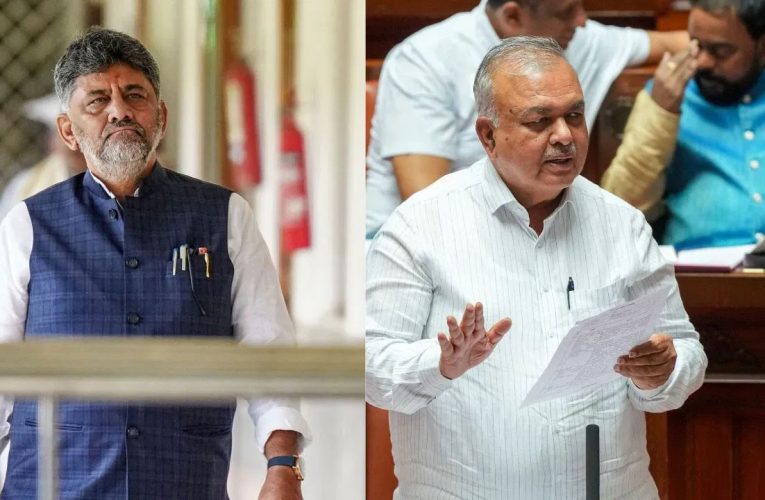 डीके का गिरा विकेट
