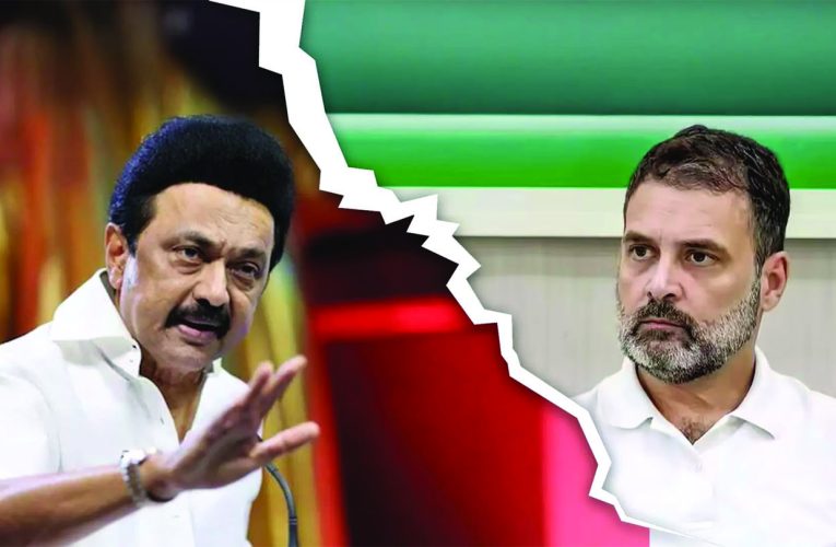 डीएमके ने बढ़ाई विपक्ष की चिंता