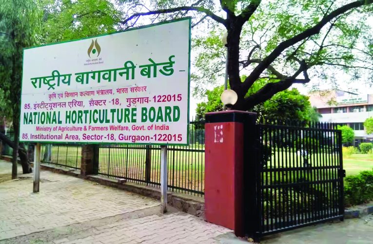 अंधा बांटे रेवड़ी…